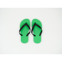 Chinelo de Dedo Ipanema Clássica Verde