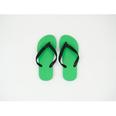 Chinelo de Dedo Ipanema Clássica Verde